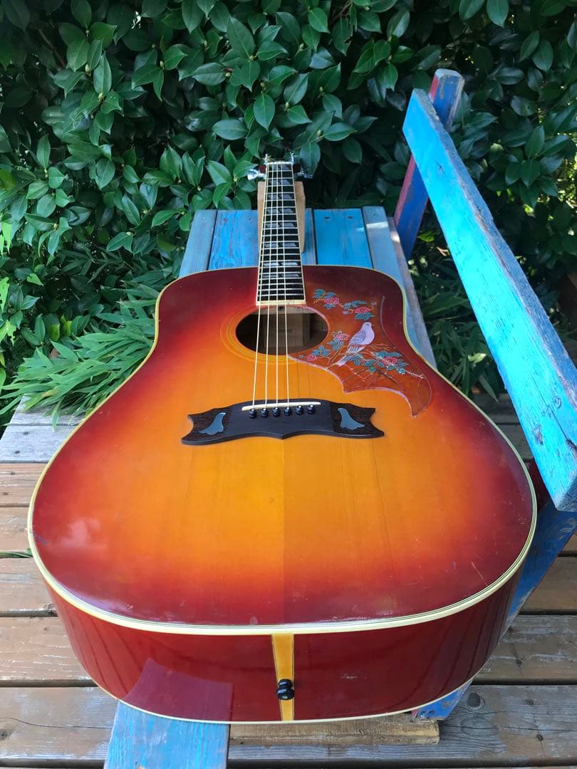 Rider J-300DS Model ライダー 林楽器