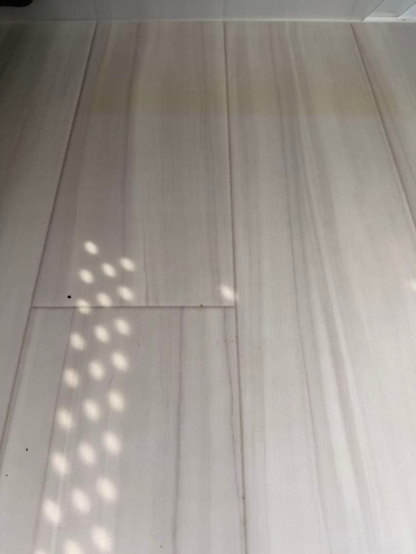 専用 引き取り限定 ポポのケージ 2段1段ラック セット