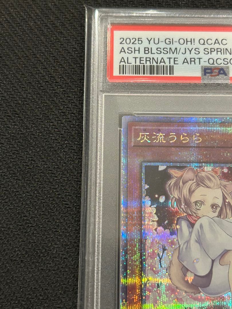 遊戯王 灰流うらら　絵違い　25th クオシクpsa10 アーコレ ②