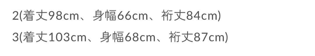 TEATORA テアトラ Souvenir Hunter DP サイズ2