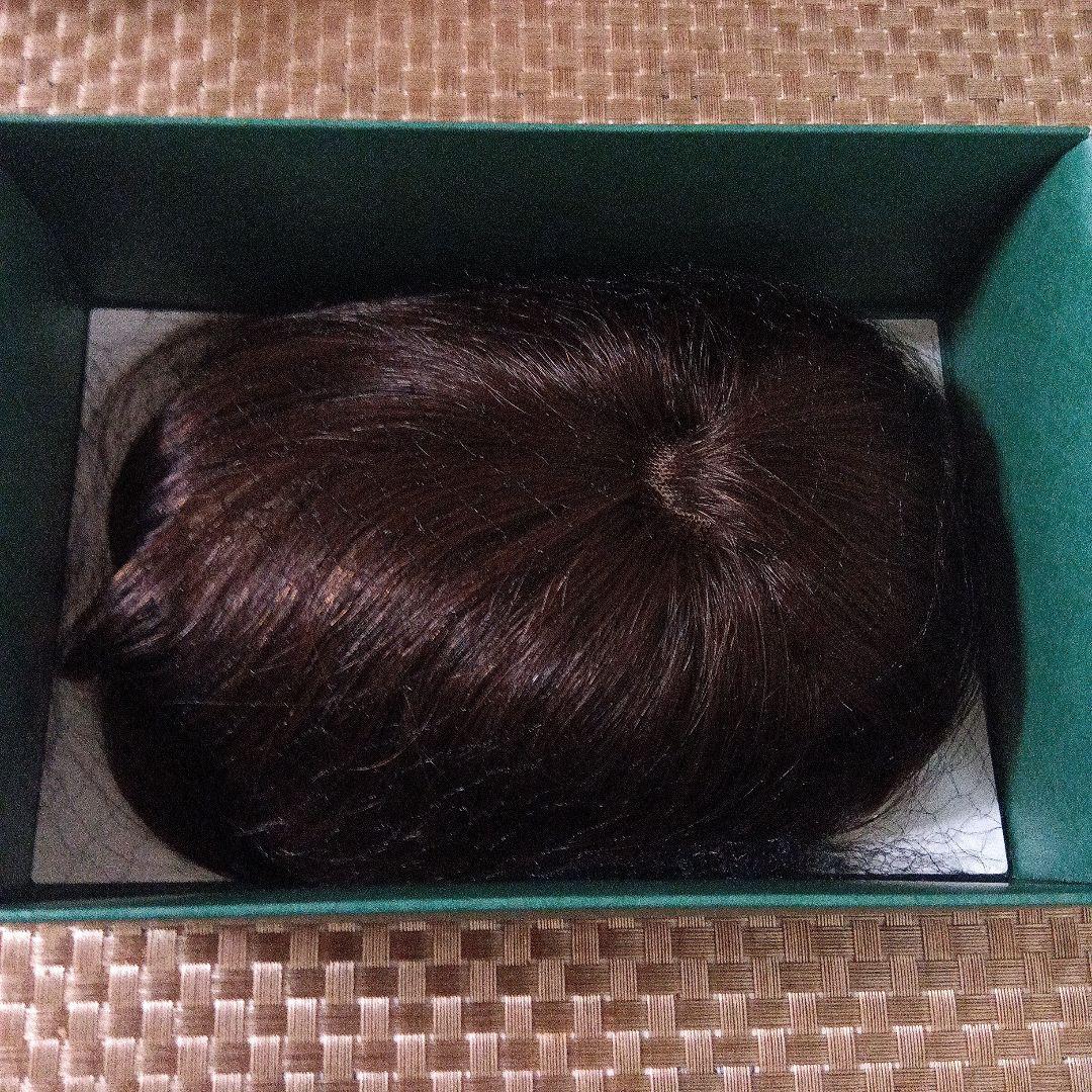 アートネイチャー JOジュリア・オージェ （部分ウイッグ）