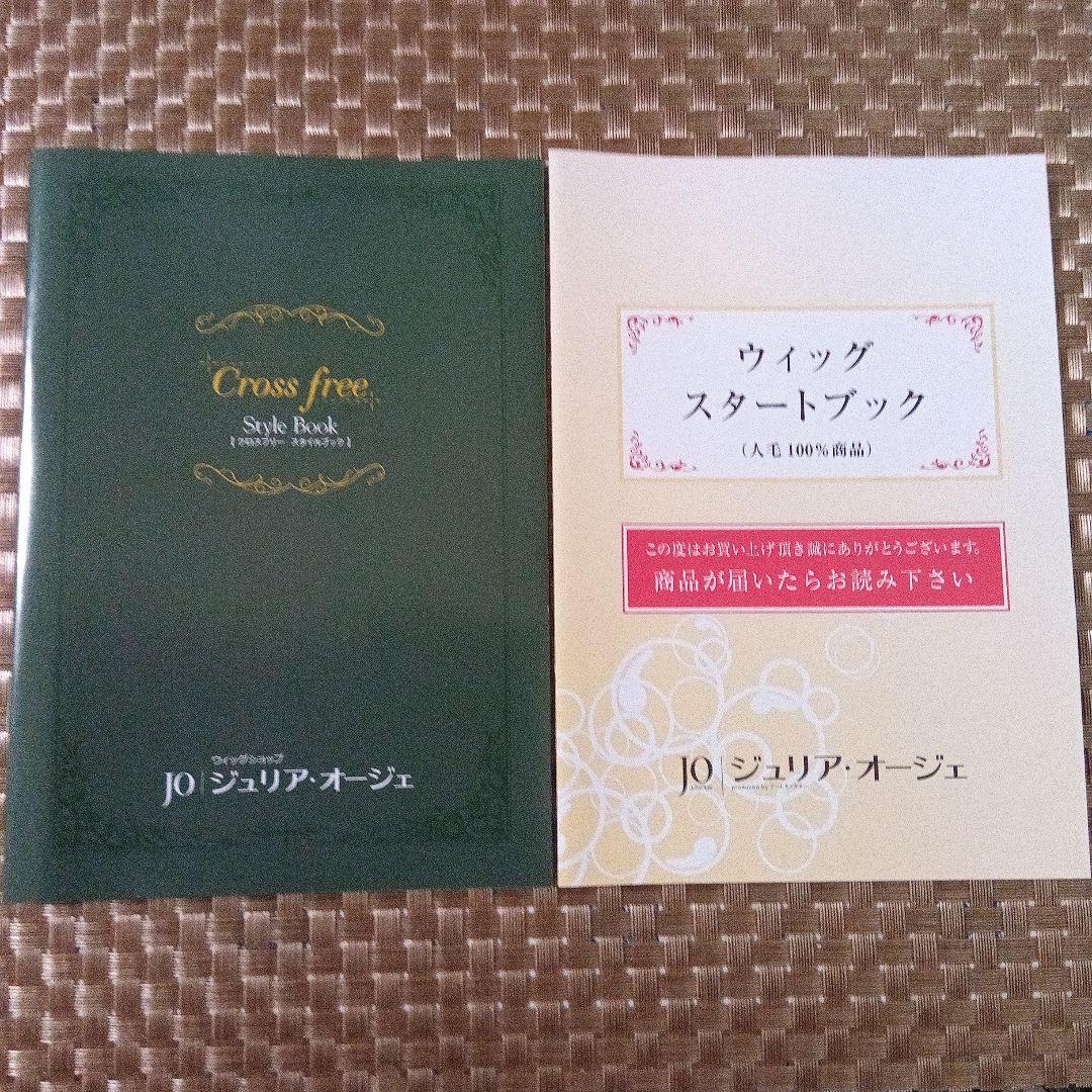 アートネイチャー JOジュリア・オージェ （部分ウイッグ）