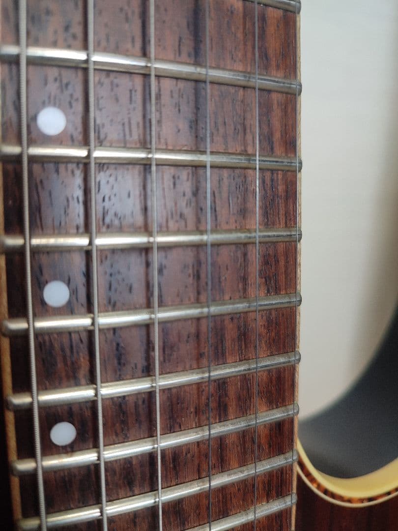 IBANEZ RG870RWZ premium　アメリカ/ヨーロッパ限定モデル