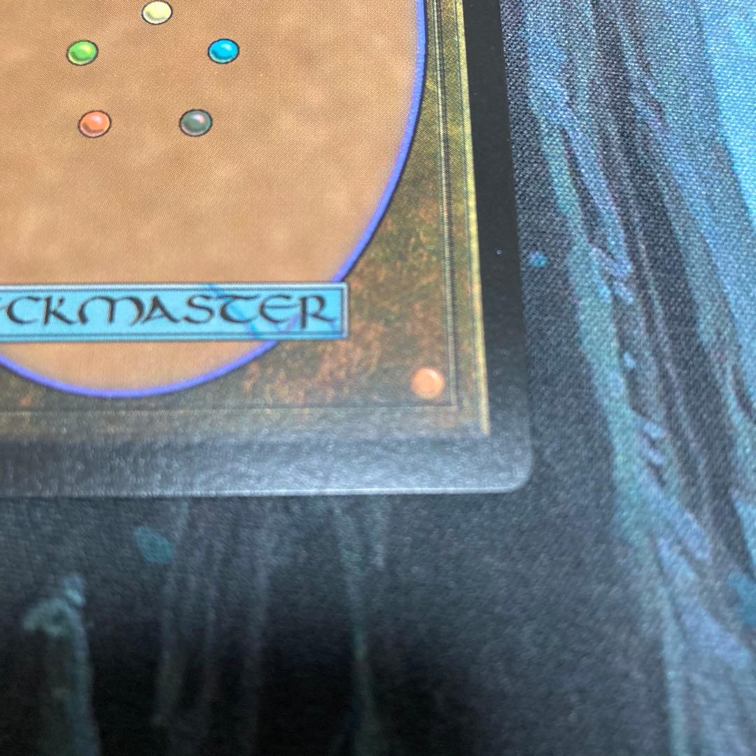 mtg 精神の眼/Mind's Eye ダブルレインボウFoil シリアル