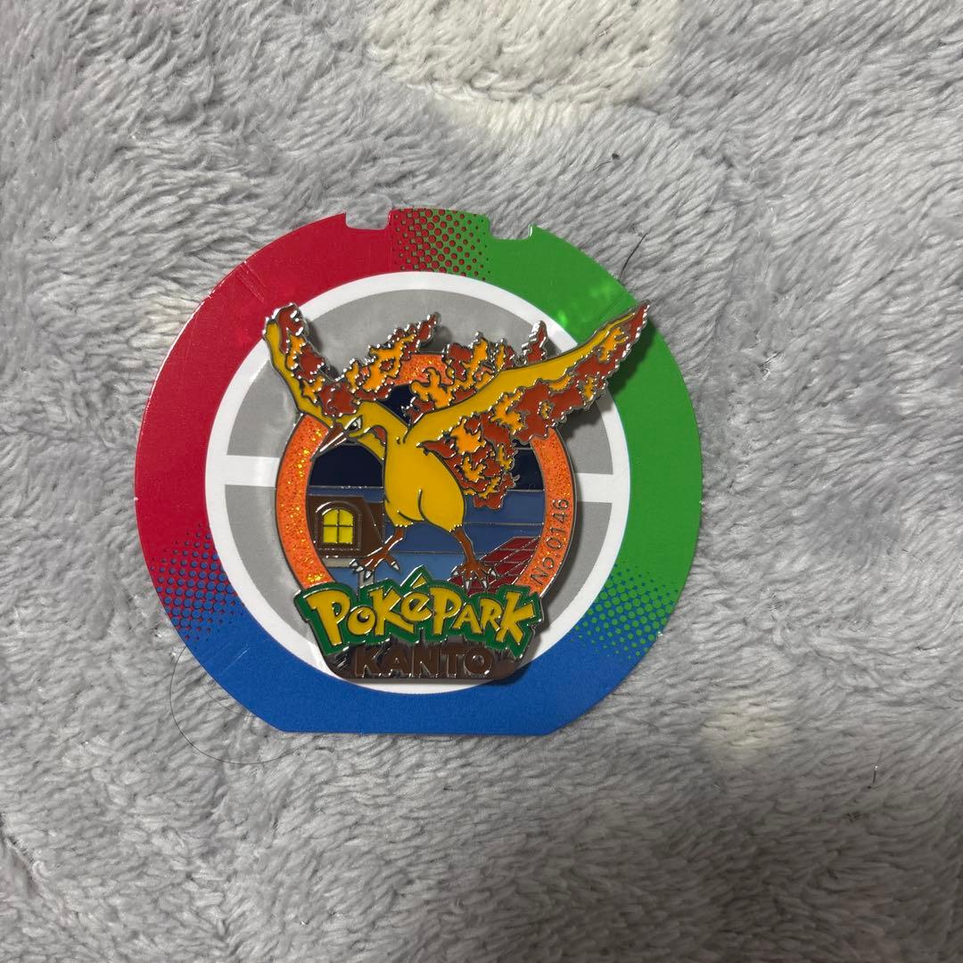 ポケパーク　ピンズ　ファイヤー