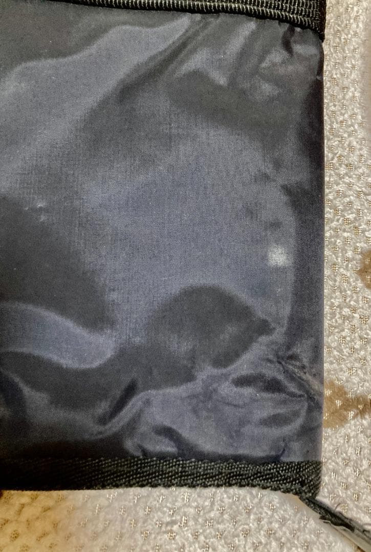 にっと！FERNANDES ZO-3　アンプ内蔵 専用ソフトケース付