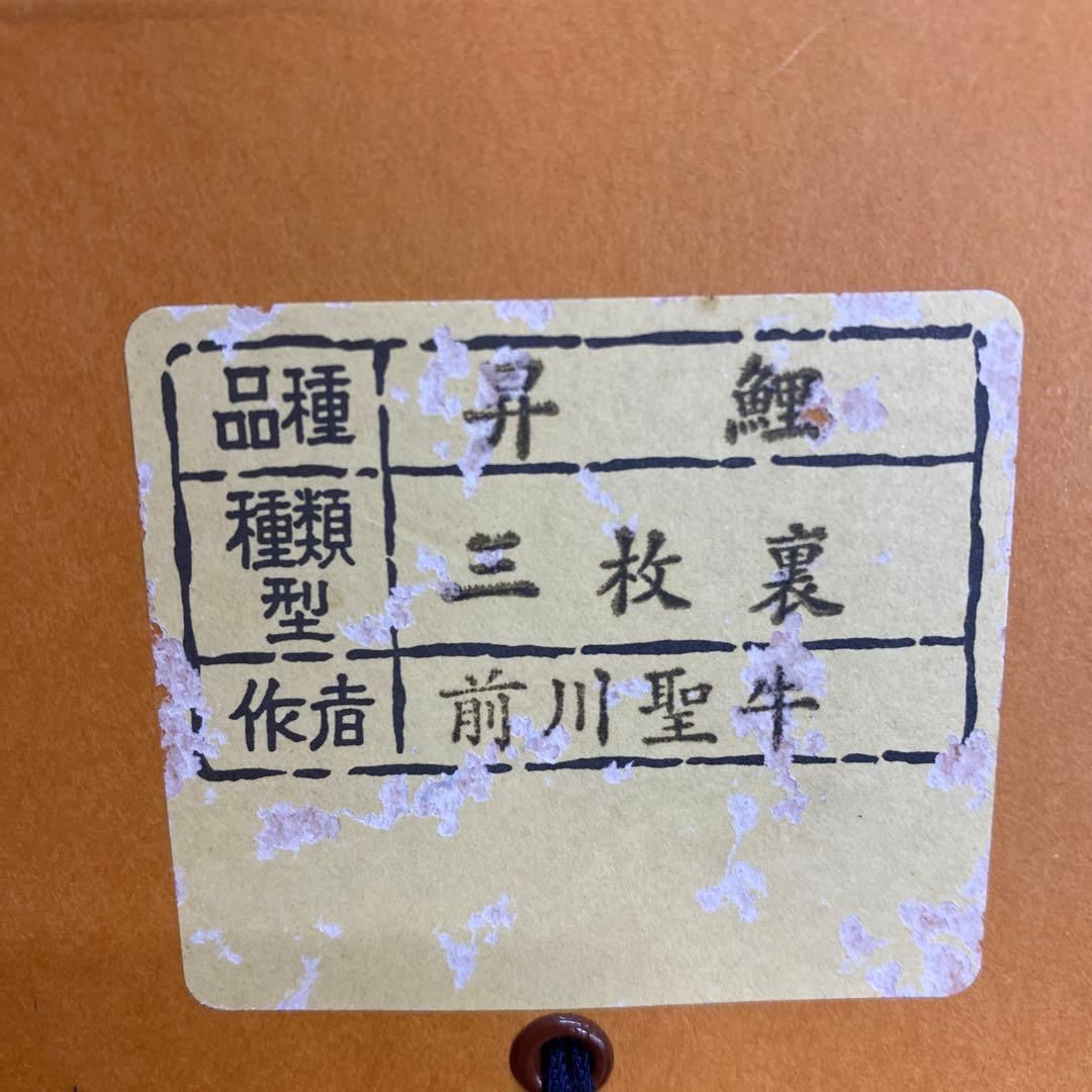 美品 掛け軸 前川聖牛作 大幅！昇鯉図 共箱 縁起物 真筆証明書