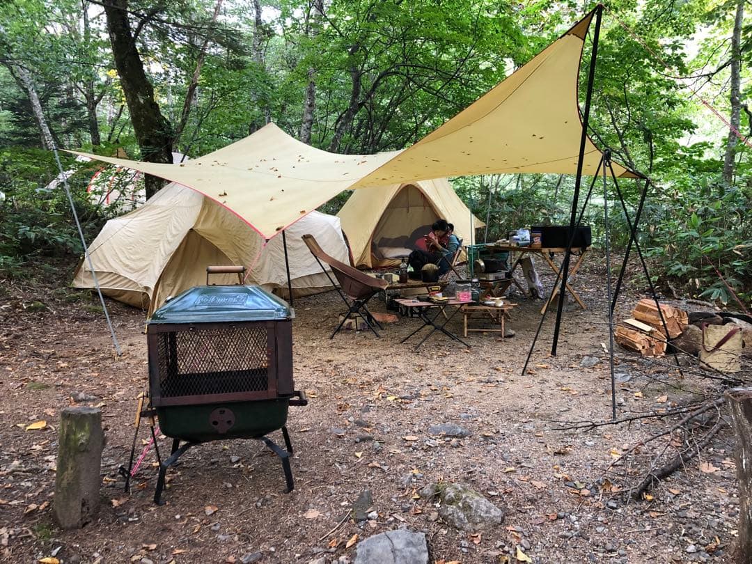 稀少美品⭐︎ Moss・Outfitter Wing（カムデン）