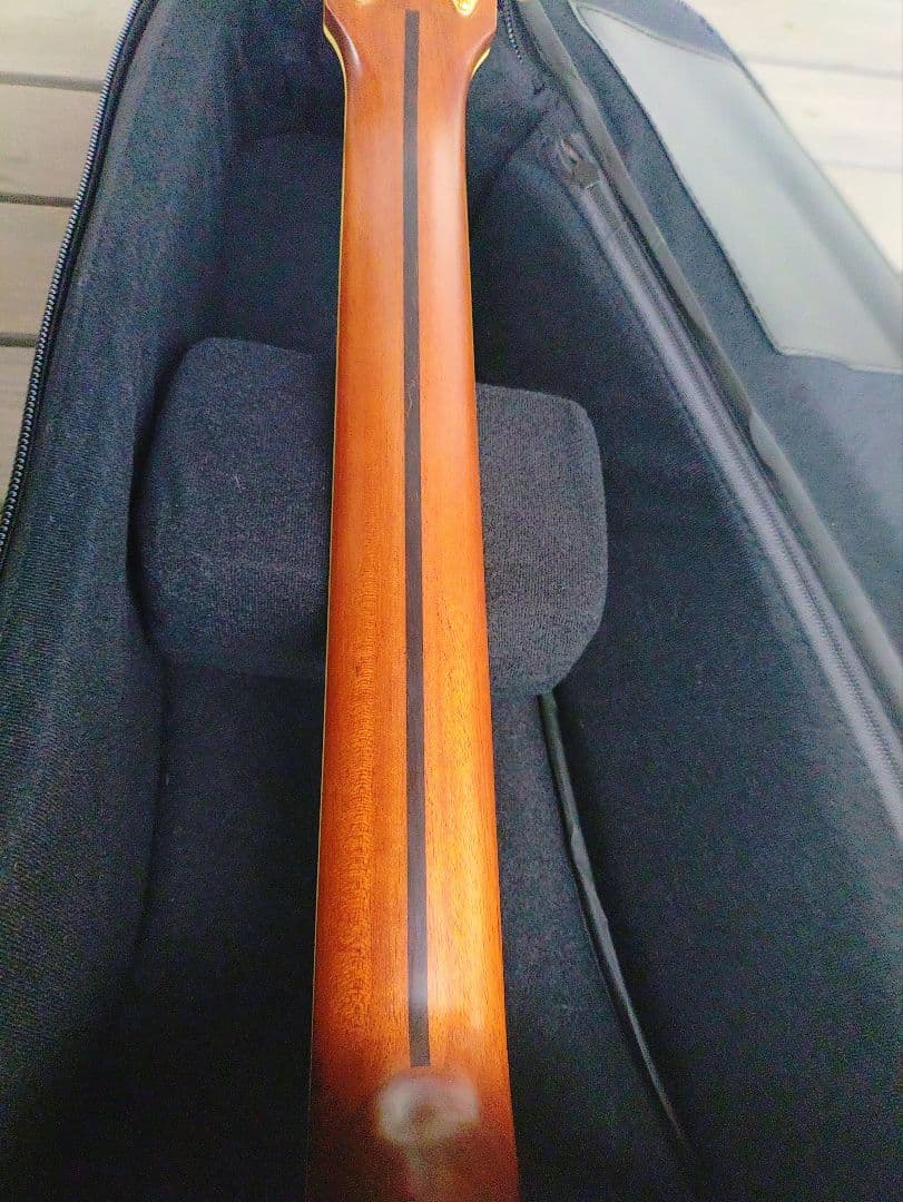 極美品！ヤマハ YAMAHA アコースティックギター LS6 ケース付き