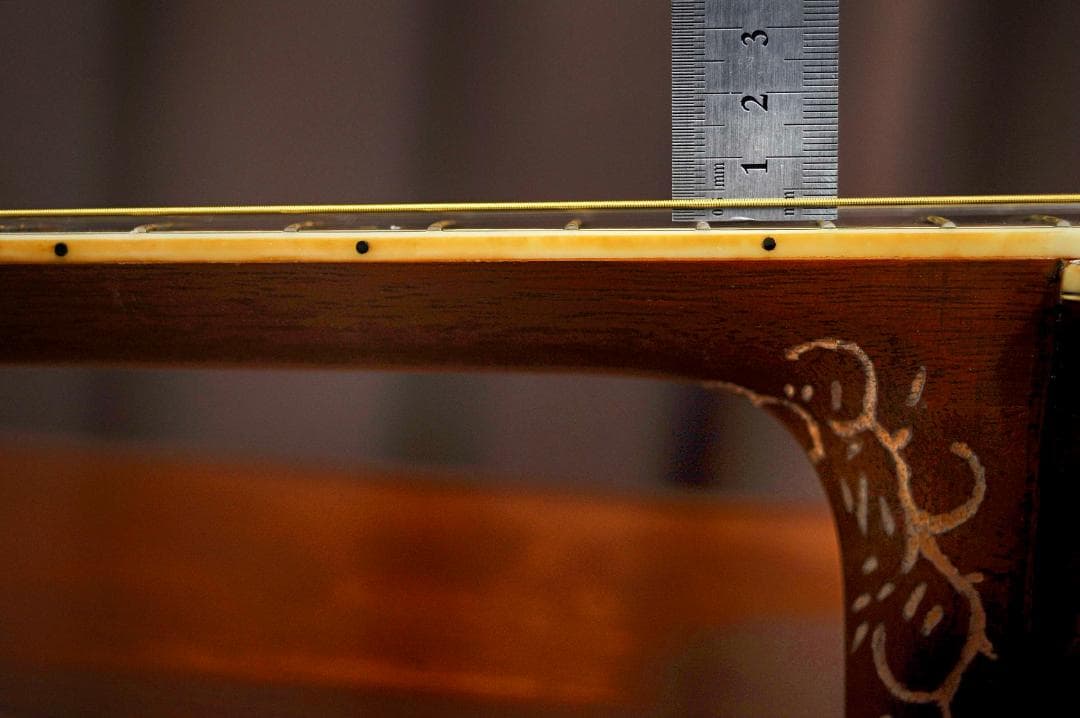 ★MORRIS Wシリーズの華やかな場面で演出を高める【彫刻装飾ギター】