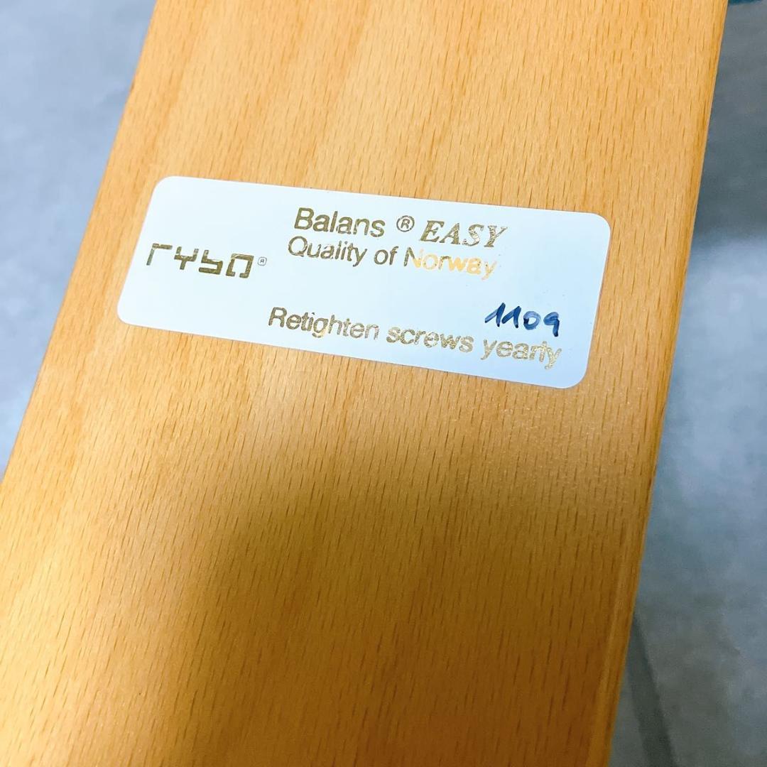 Rybo リボ社 バランスイージー バランスチェア スカルブルー 姿勢矯正 椅子