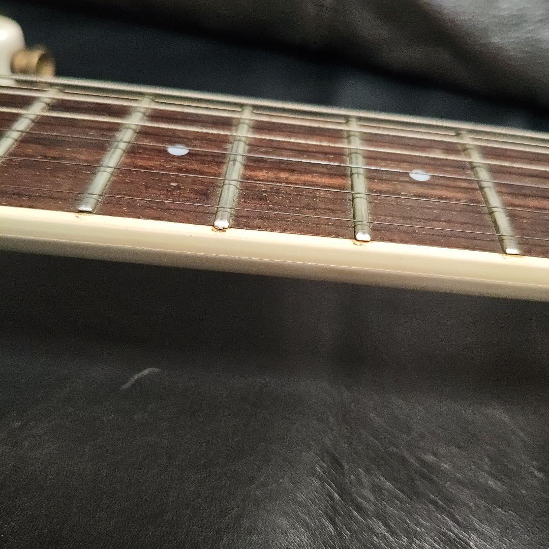 N*T様 AriaProII MAGNA series MA-650