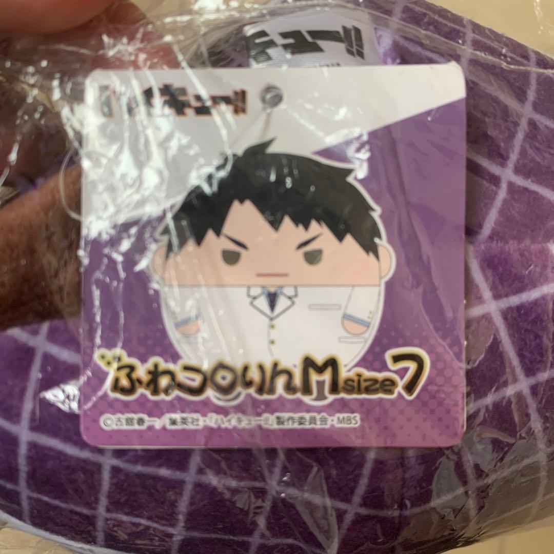 ハイキュー　牛島若利　ふわコロりん　Mサイズ