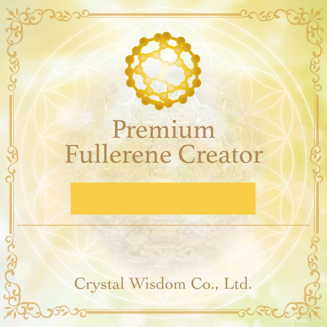 Wエネルギー‼️フラーレン❣️特大フラーレンIN天然フラーレンのシュンガイト★