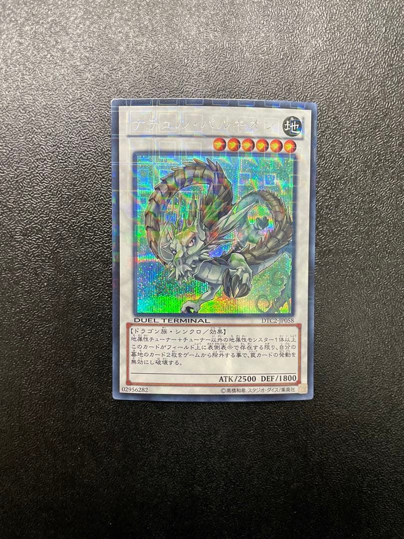 【貴重】 ナチュルパルキオン　dtc シークレット