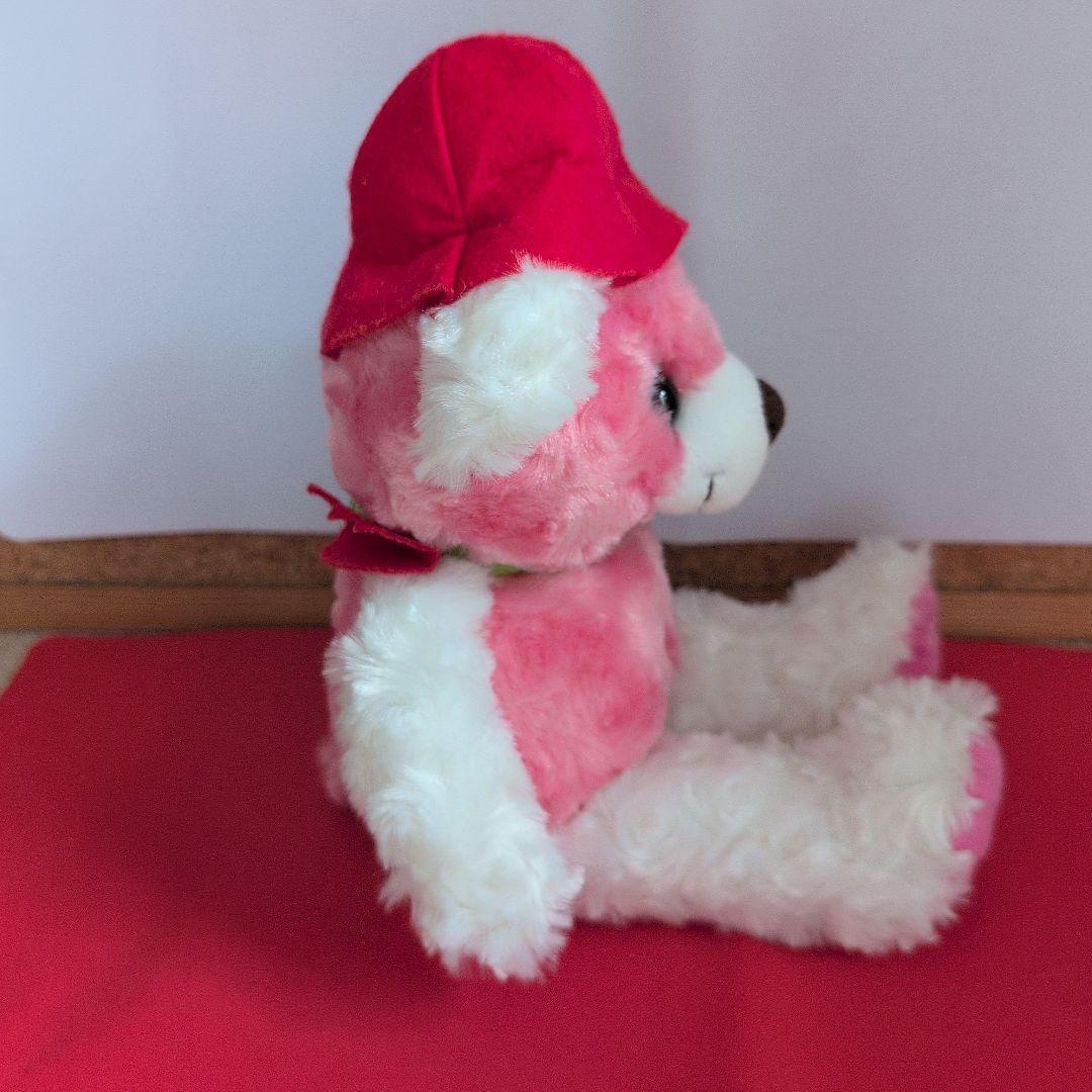 R*n様 ご当地ベアS＆SS　 昭和記念公園ベア