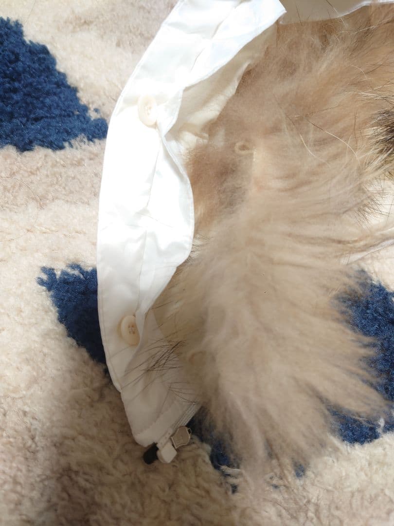 23区ゴルフGOLF ダウンベスト