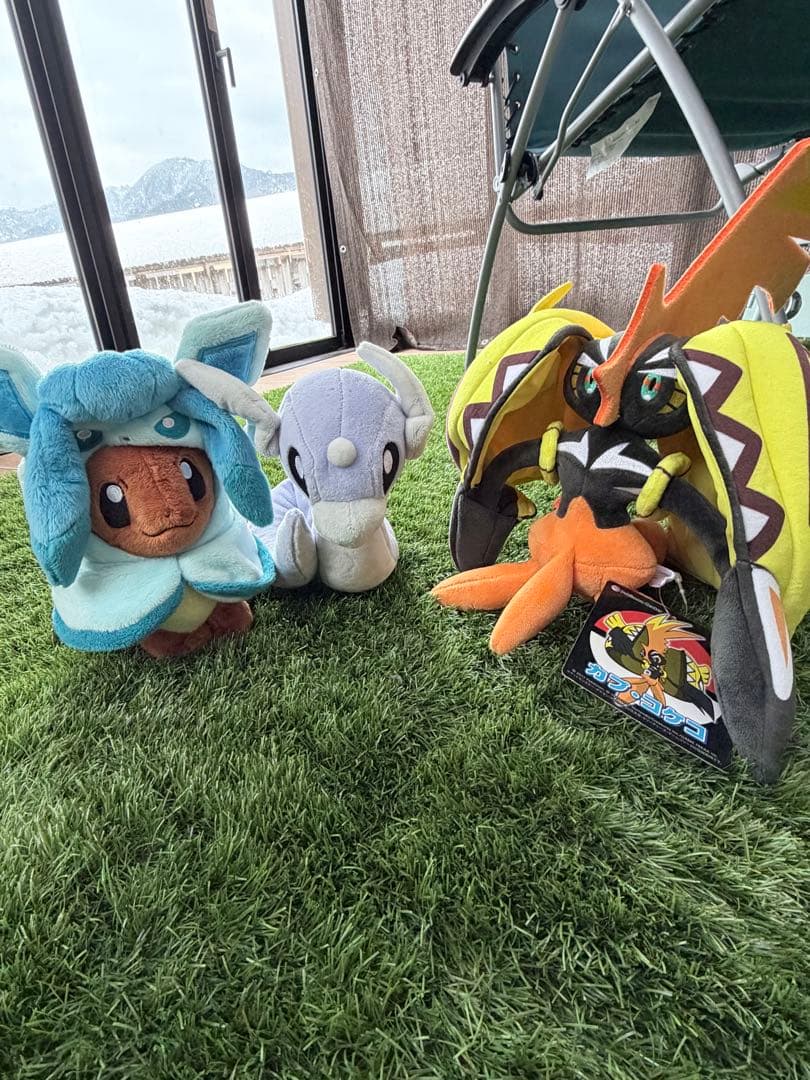 【全てタグ付】ポケセン限定レア3体セット（イーブイ・カプコケコ・ミニリュウ）