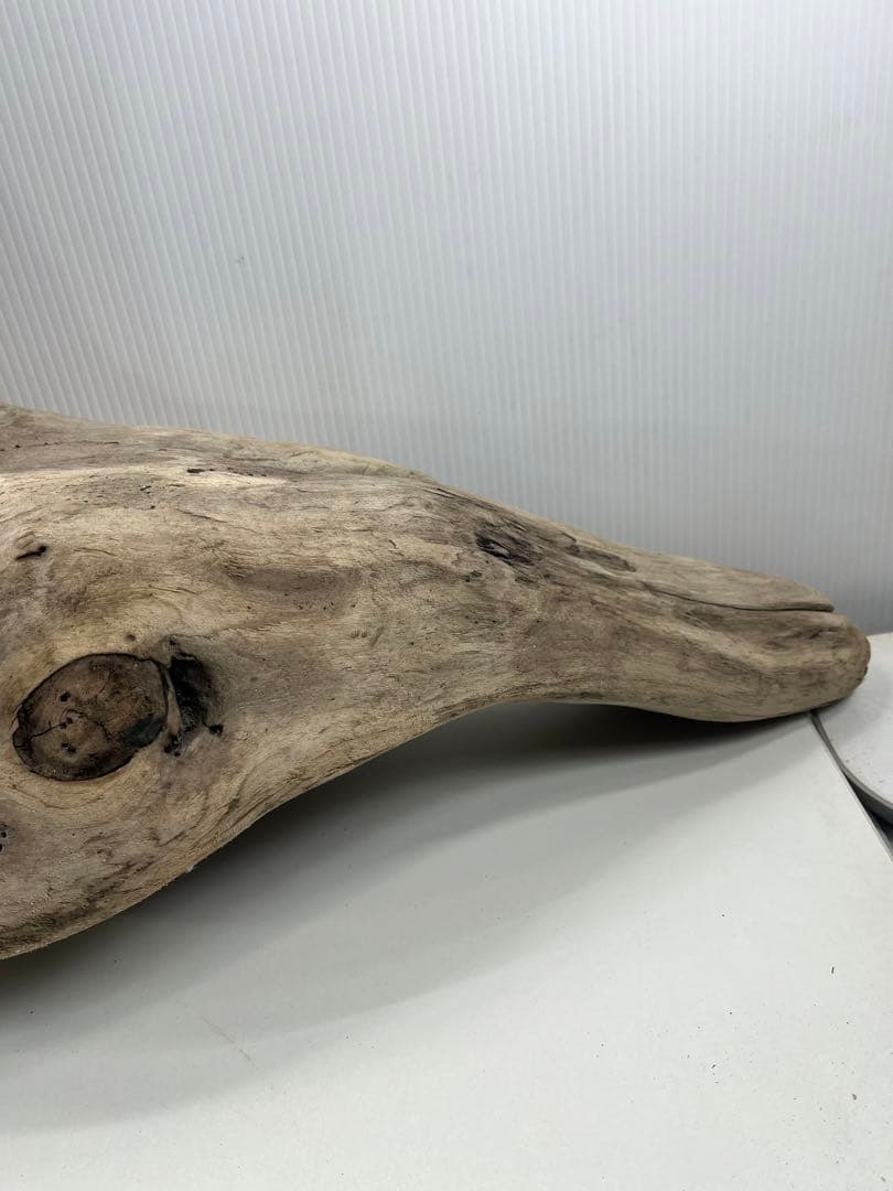 W29特大流木 アク抜き済み流木 爬虫類シェルター 登り木 インテリア 生け花