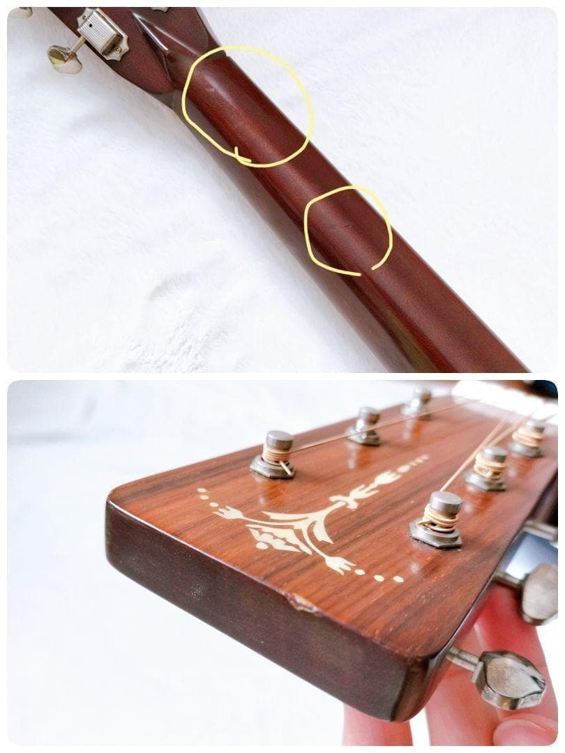 【極上美品】 1980年代！ TOKAI TCM-50 アコギ　ソフトケース付き