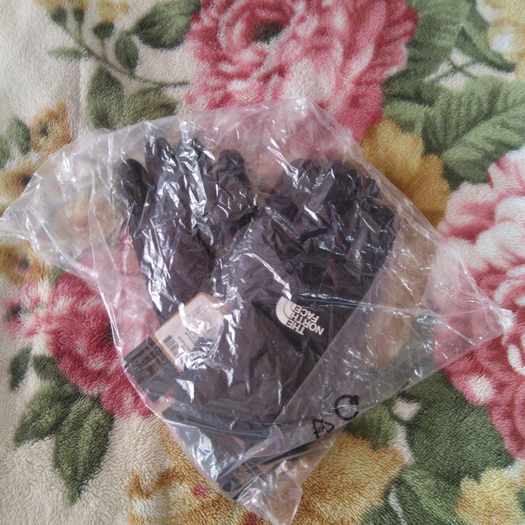 ノースフェイス スキー　スノーボード グローブ The North Face M