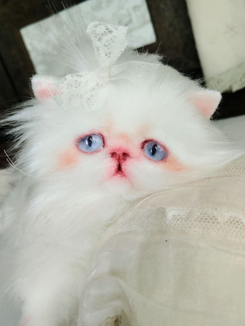 綺麗なオメメの女の子❤エキゾチック子猫ちゃん♡アートドール♡ぬいぐるみ♡