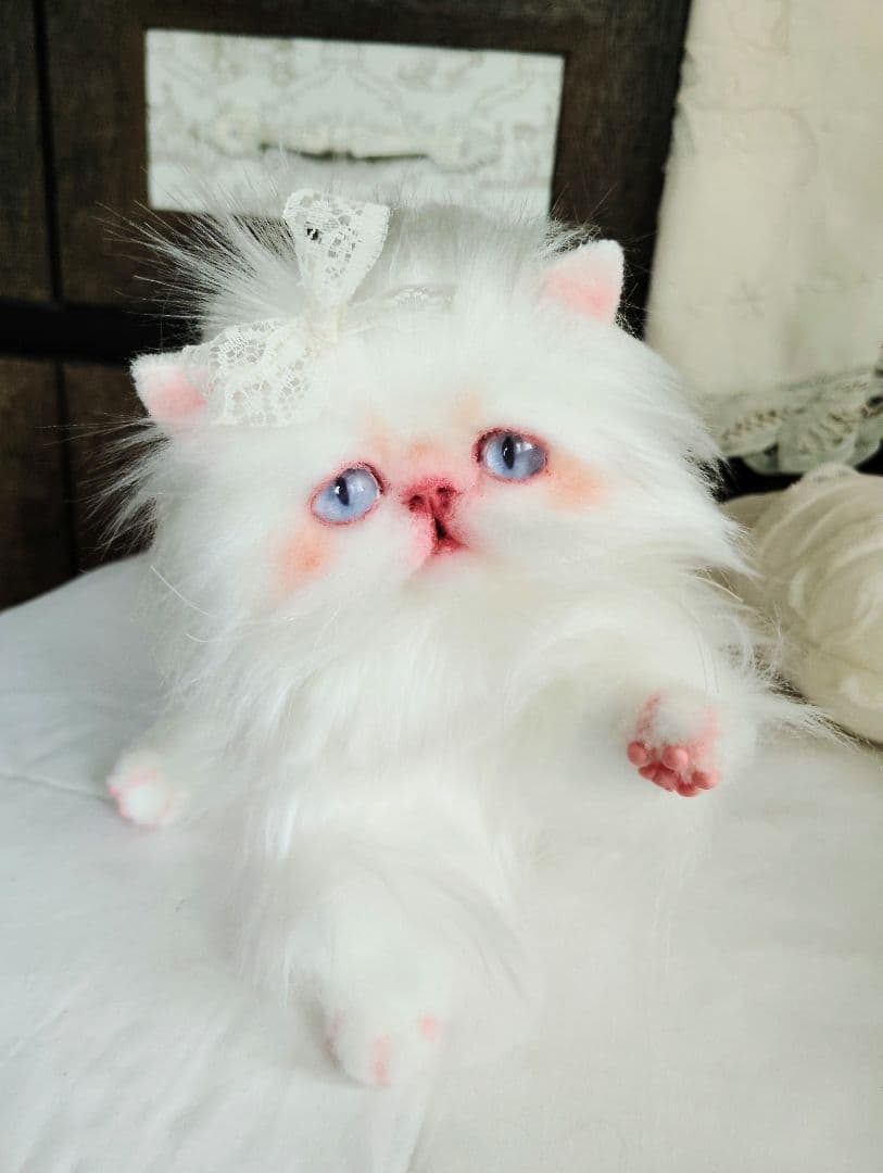 綺麗なオメメの女の子❤エキゾチック子猫ちゃん♡アートドール♡ぬいぐるみ♡