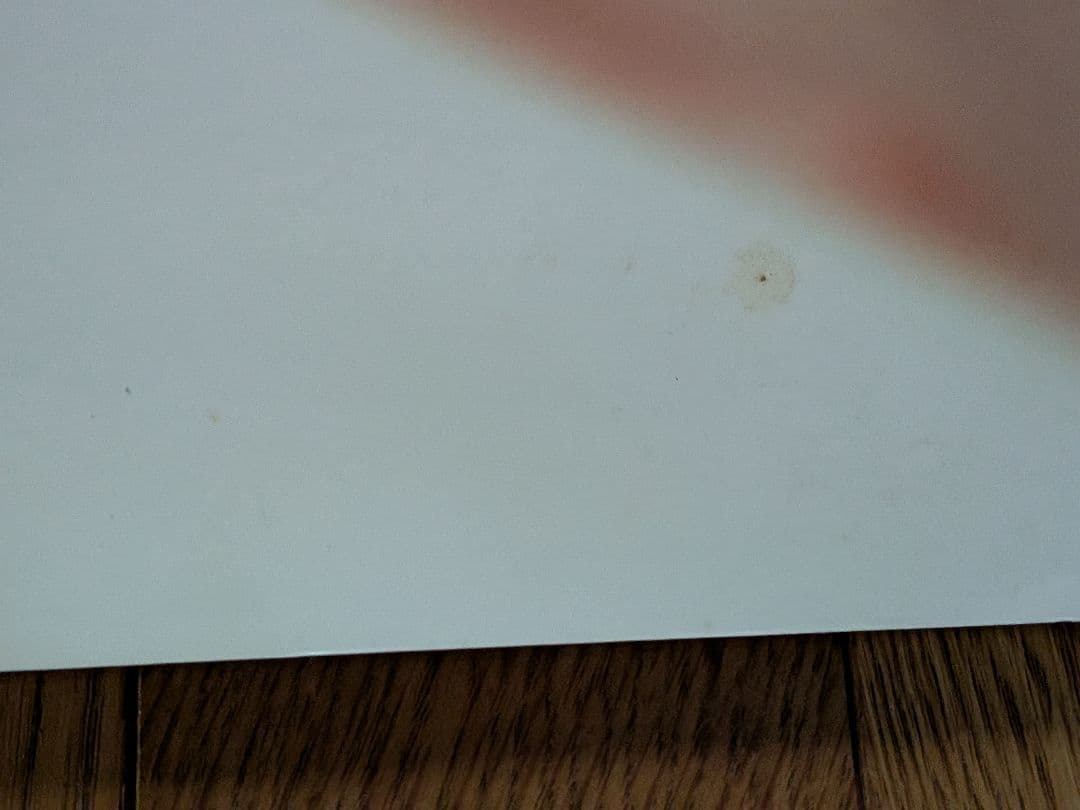 【B1特大ポスター】ZARD「forever you」非売品