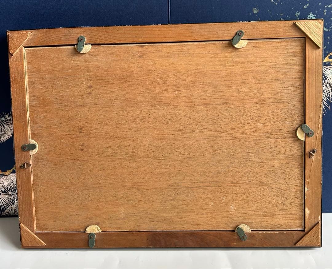 蝶の標本 蝶標本コレクション　18種　日本産　台湾産　木製フレーム付き