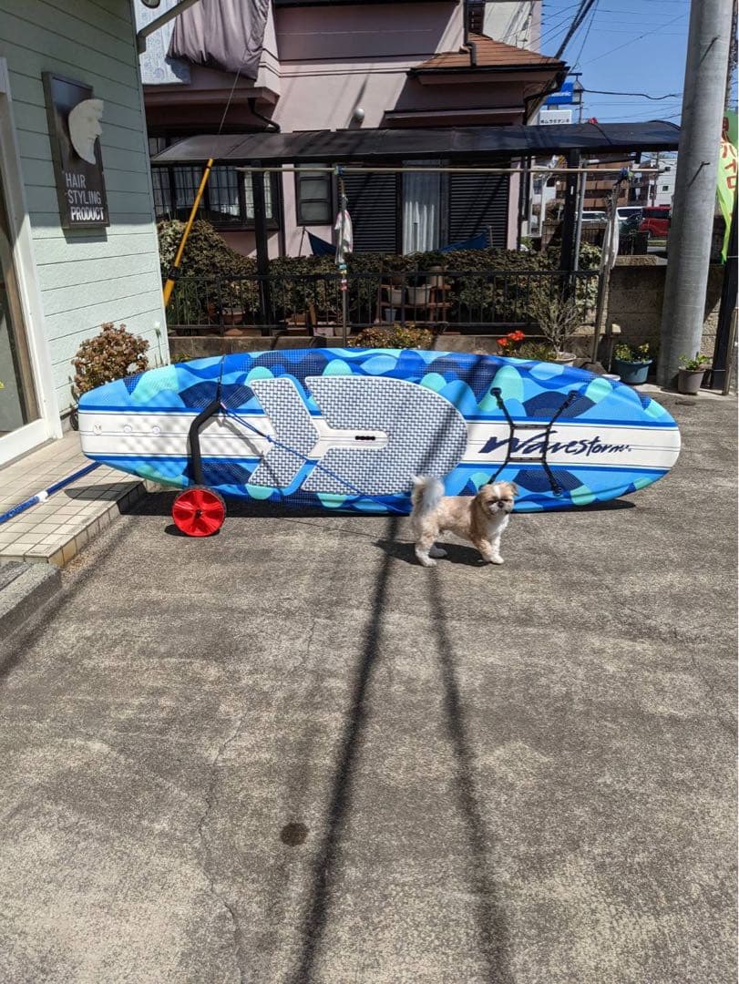 『関東圏内手渡し限定』SAP Hydrostorm スタンドアップパドルボード