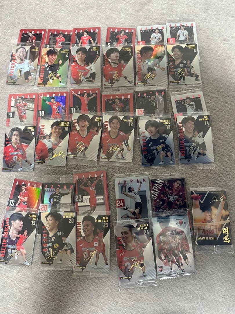 男子バレー日本代表　ウエハースカードコンプリートセット(ユニフォーム入りを除く)