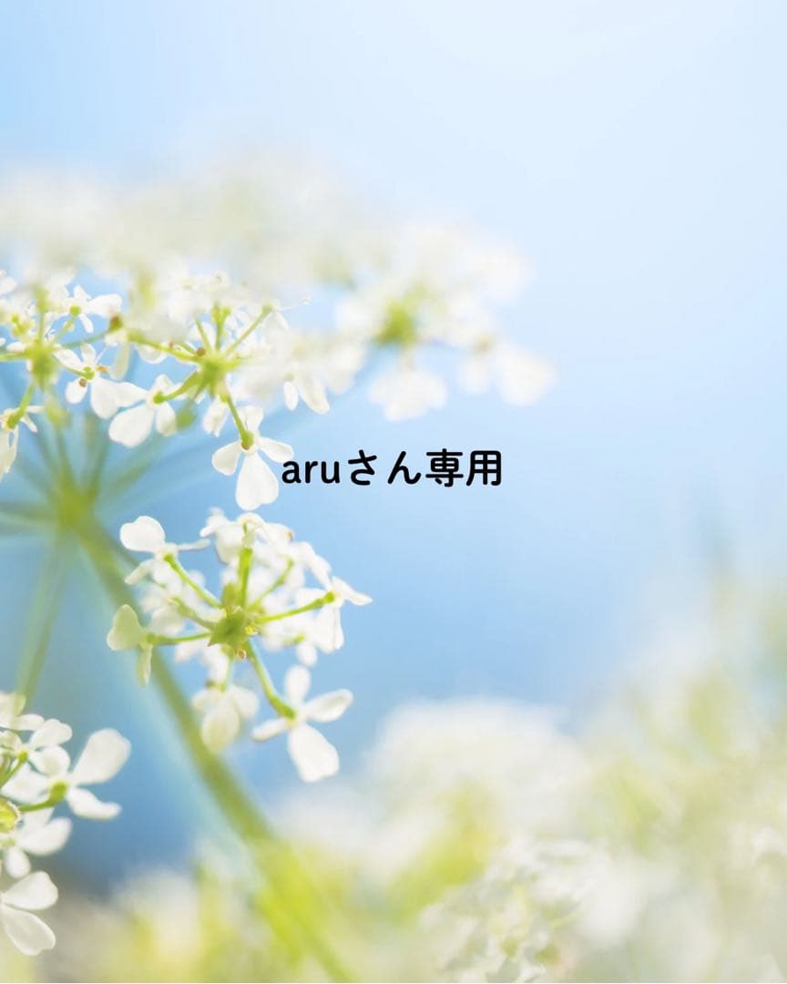aruさん専用