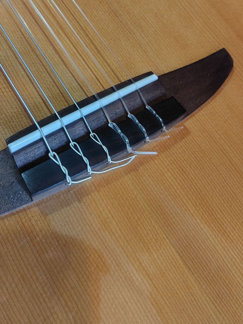 YAMAHA NTX1 エレガットギター セミハードケース付