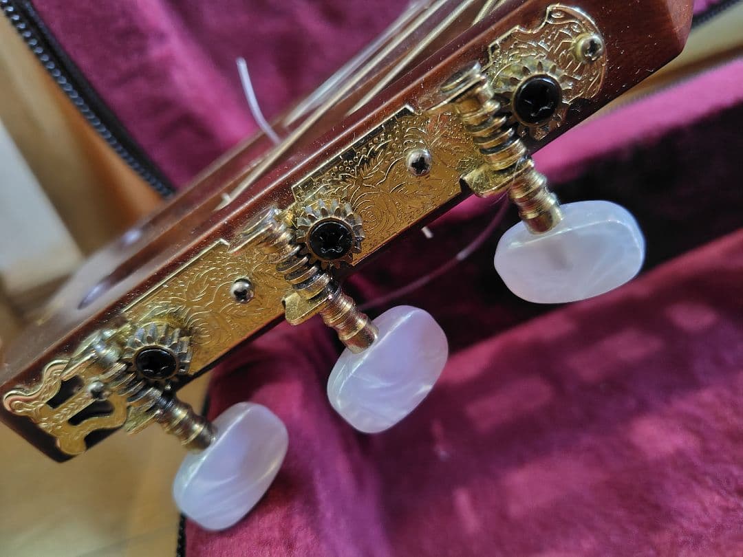 YAMAHA NTX1 エレガットギター セミハードケース付