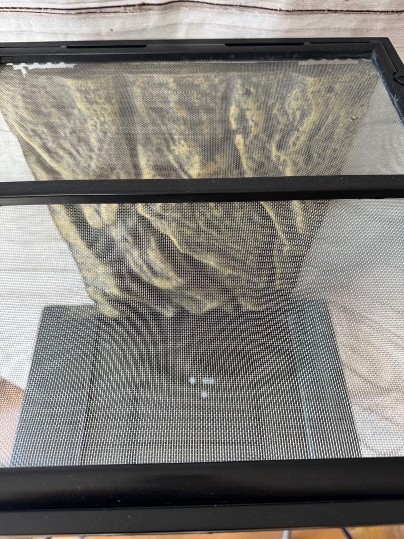 （送料込み）GEX エキゾテラ グラステラリウム 4560 ＋ コンパクトトップ