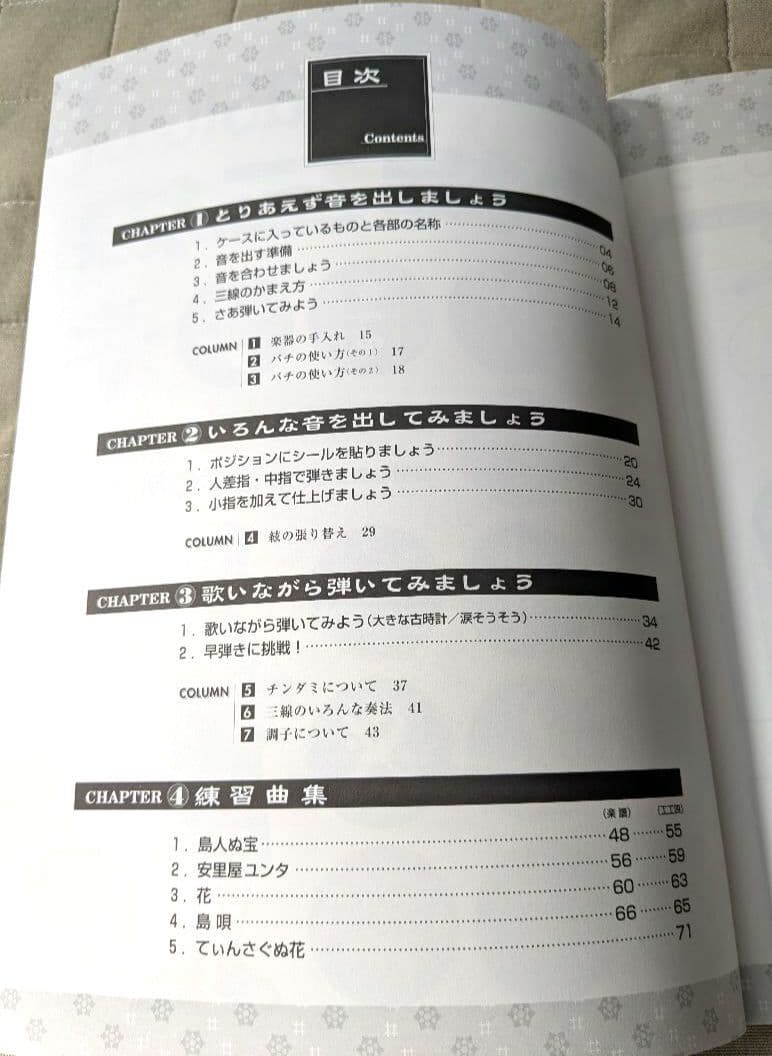 【送料無料】沖縄三線 ヘビ柄 3弦 ケース、付属品、テキスト2冊付き