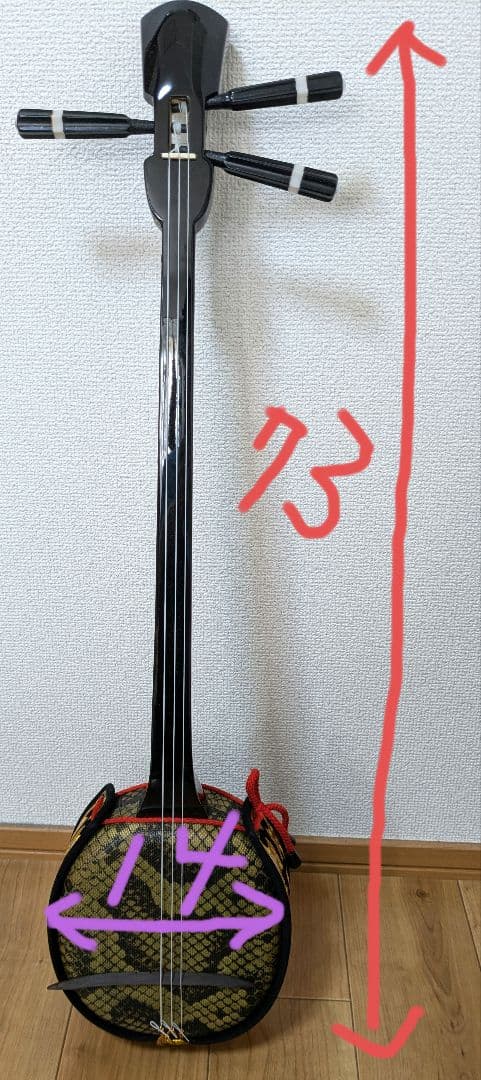 【送料無料】沖縄三線 ヘビ柄 3弦 ケース、付属品、テキスト2冊付き