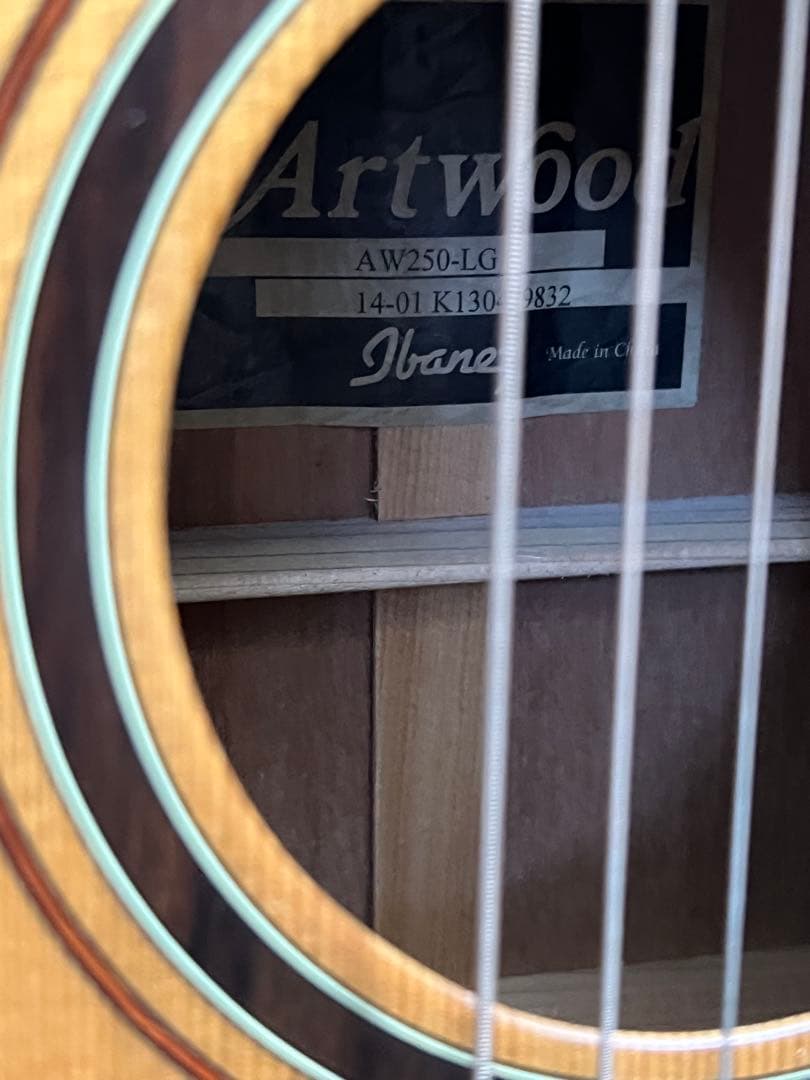 即発送 Ibanez Artwood AW250-LG