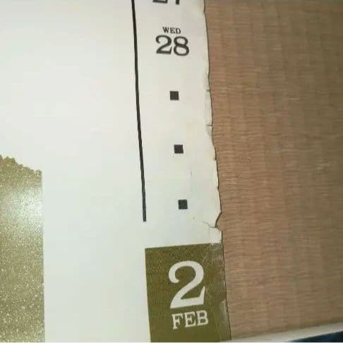 C-C-B 公式　オフィシャル　カレンダー　1990