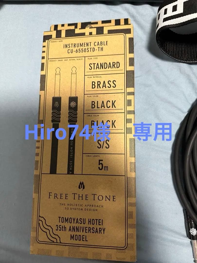 布袋寅泰モデルギター（シールドのみ）