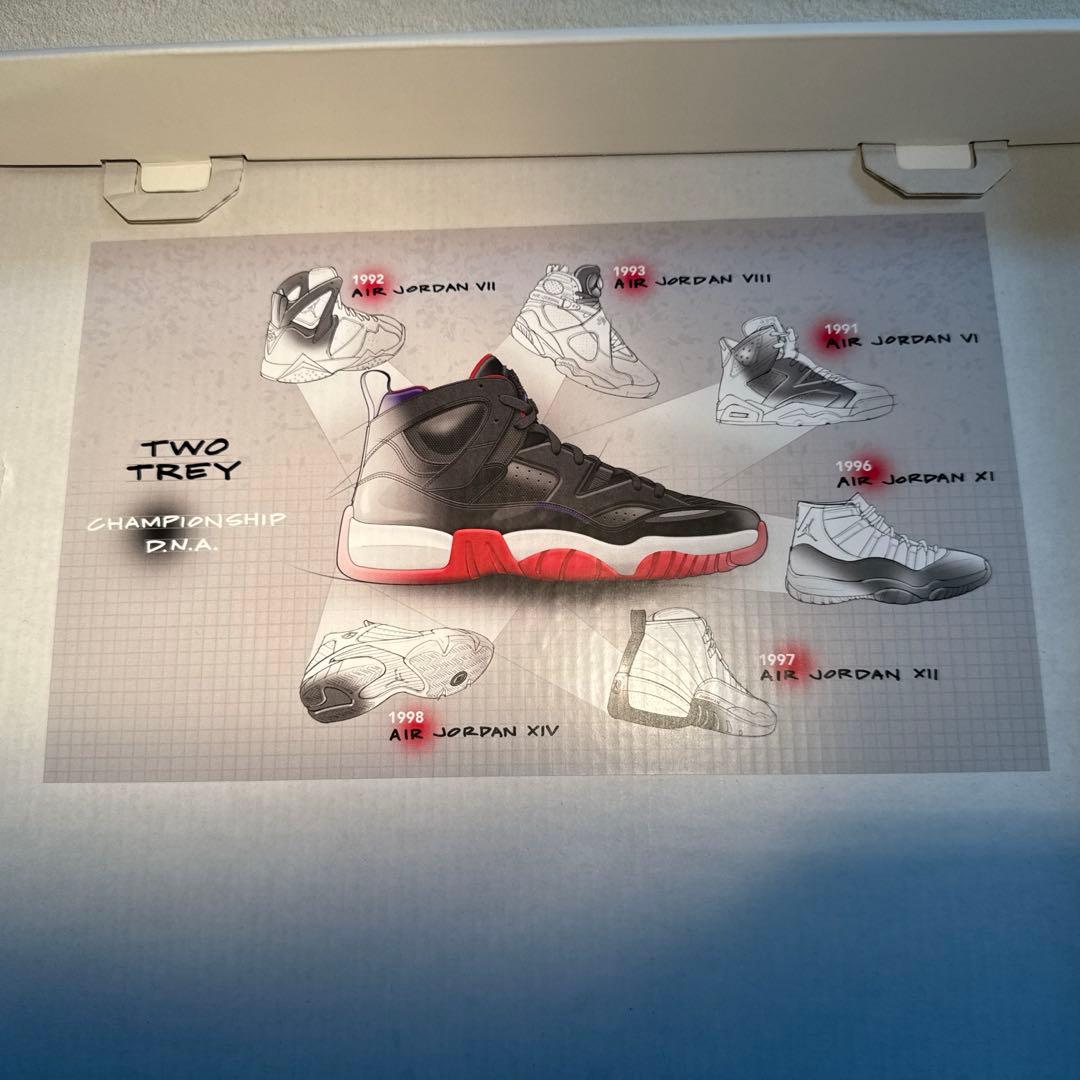 値下　JUMPMAN TWO TREY PSG ジャンプマン ツートレイ28cm