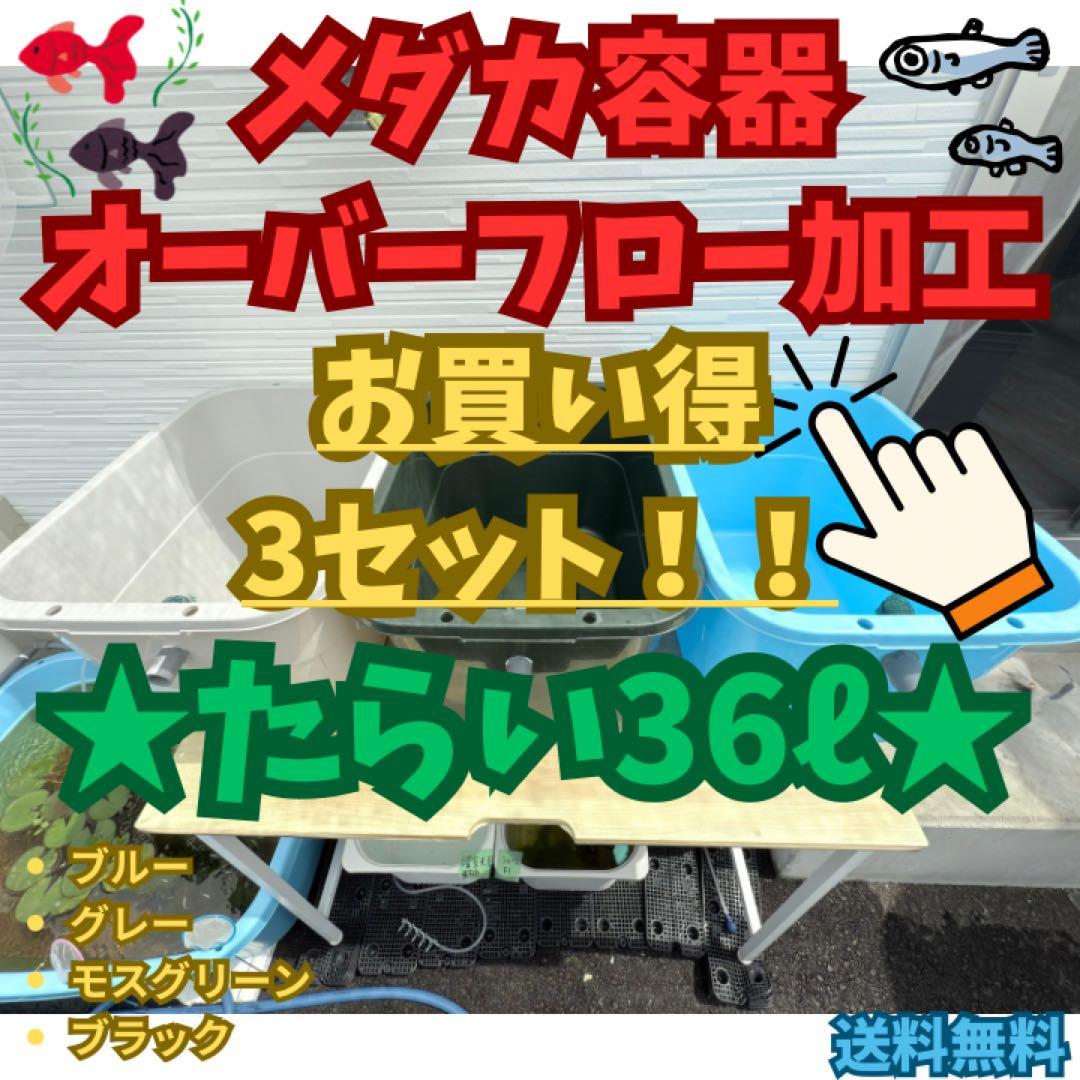 ★お買い得★たらい36L(3個)メダカ飼育容器オーバーフロー トロ舟プラ舟めだか