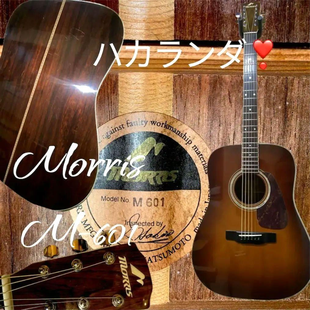 値下！美品！MorrisモーリスM-601トップ単板ハカランダ調整クリーニング済