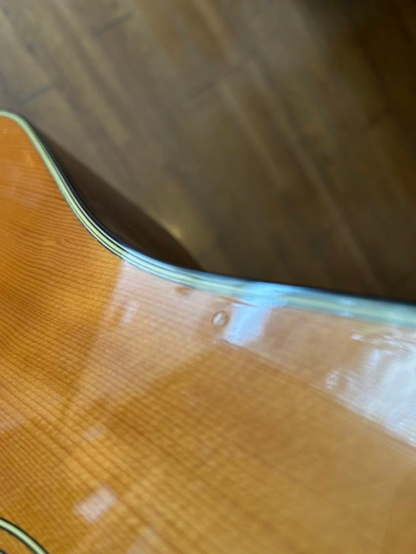 Morris アコースティックギター MD-502 モーリス