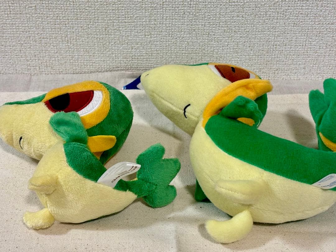 ツタージャぬいぐるみ　ツタージャドール　2体セット