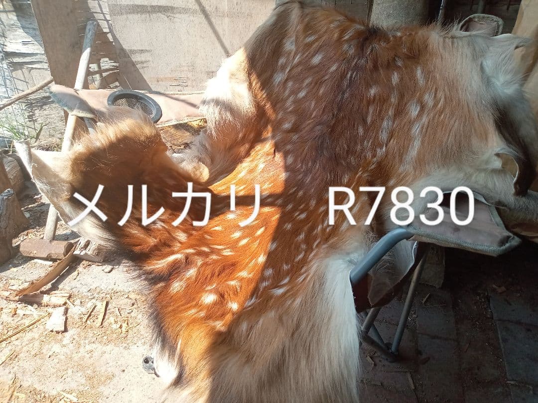特上　天然日本鹿　夏毛　ラグ