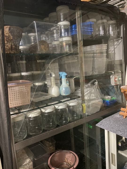 昆虫ブリードセット一式