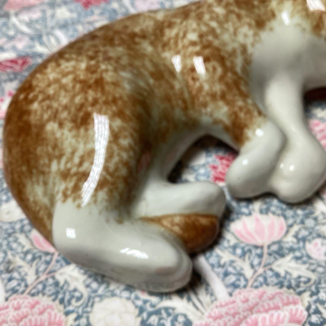 ウィンスタンレイキャットサイズ4の超美人猫SaksFifthAvenue貴重な子