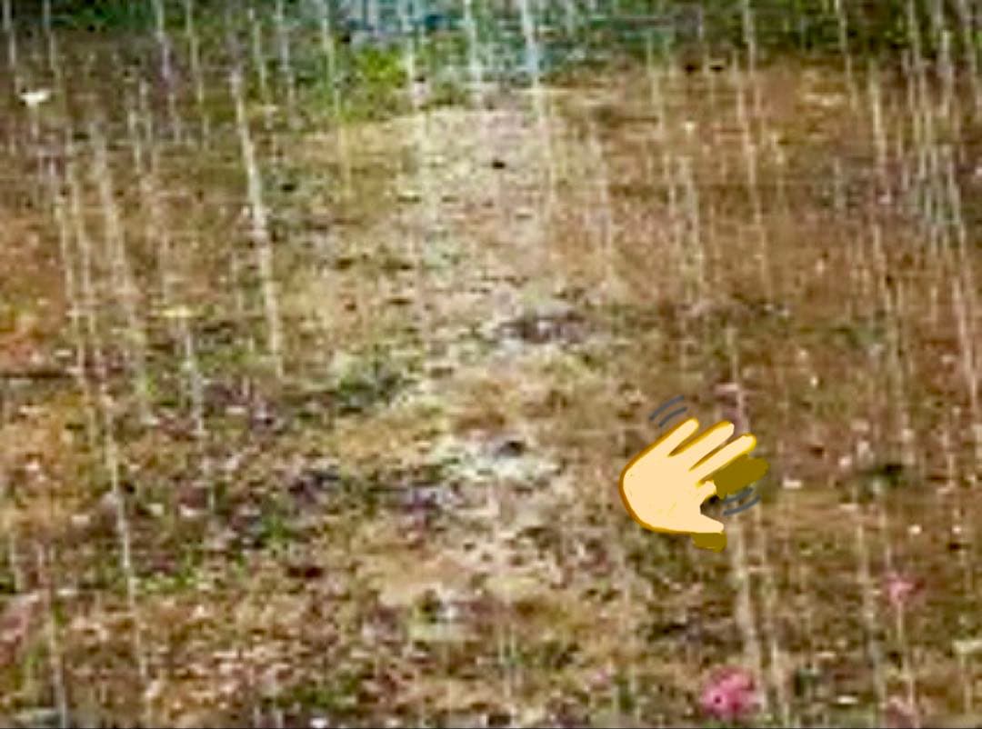 D 写真20枚１セット　A4サイズの写真用光沢紙にてコピーします。