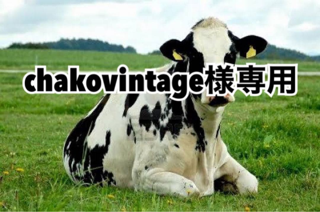 グレー30、パープル30